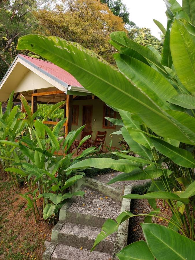 Cabina Rancho La Merced Uvita Luaran gambar